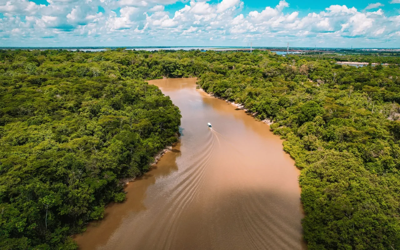 Rio de águas barrentas cortando a floresta amazônica, visto do alto