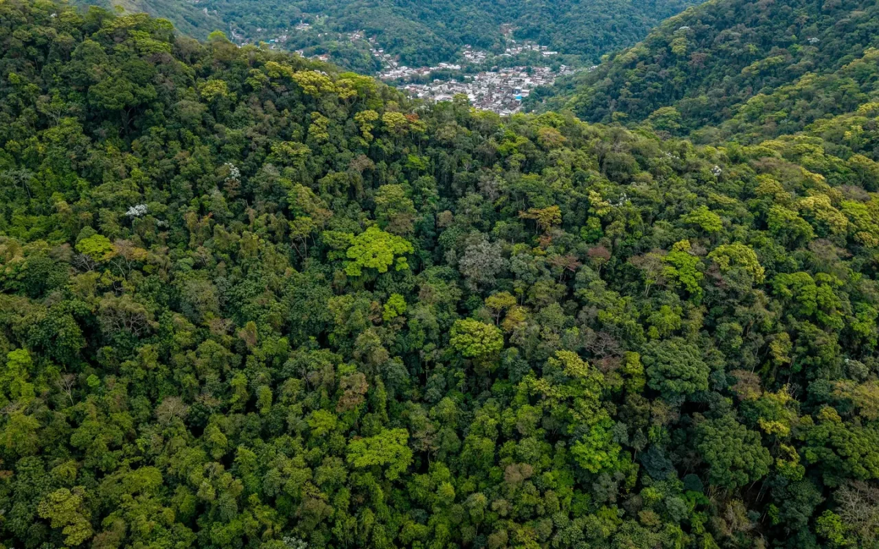 Morros cobertos de Mata Atlântica, vistos do alto